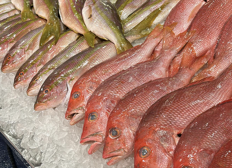 Image: Fresh Florida Fisheries is one of the best seafood markets in Miami