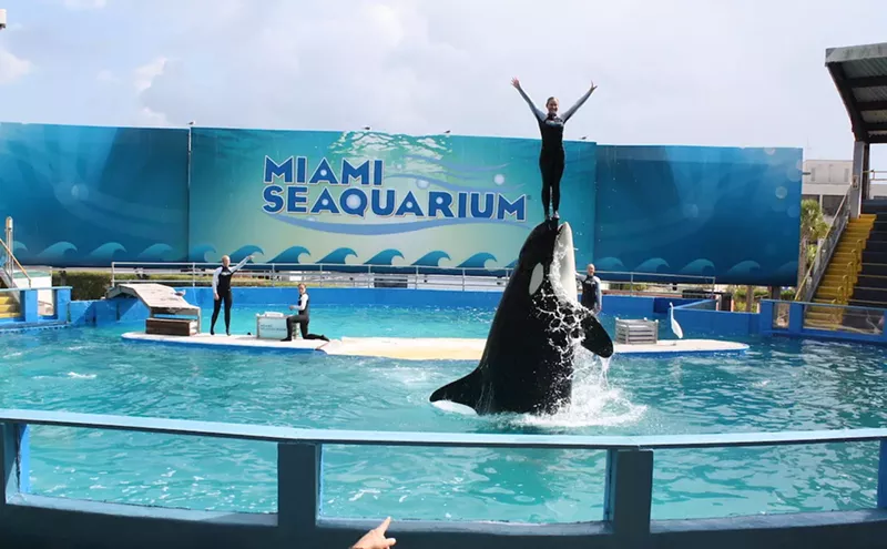 Image: "Abusement Park": Six Findings That Have Blighted Miami Seaquarium