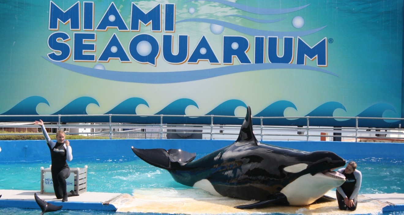 The Miami Seaquarium is under scrutiny following a spike in mammal deaths.