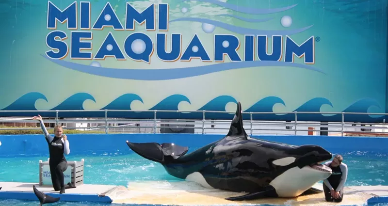 Image: The Miami Seaquarium is under scrutiny following a spike in mammal deaths.
