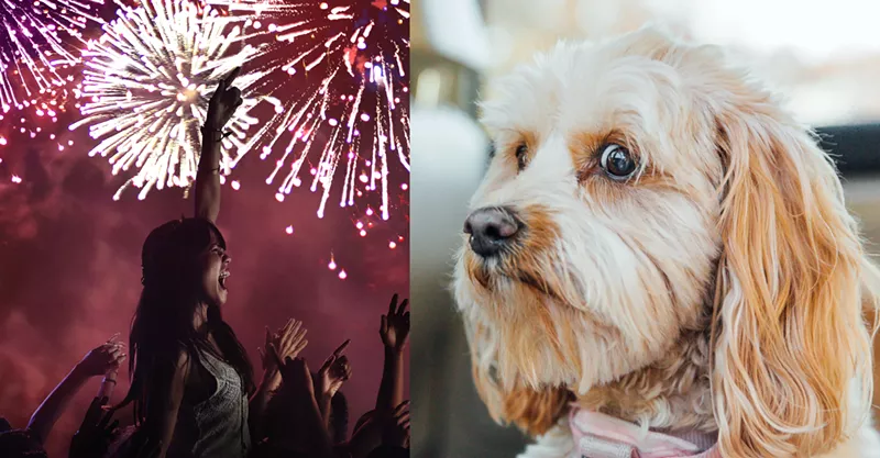 Image: Buddy had a ruff night at LoanDepot Park.