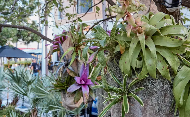 Image: Botanical Art Installations by Landscape Designers Enhance Lincoln Road