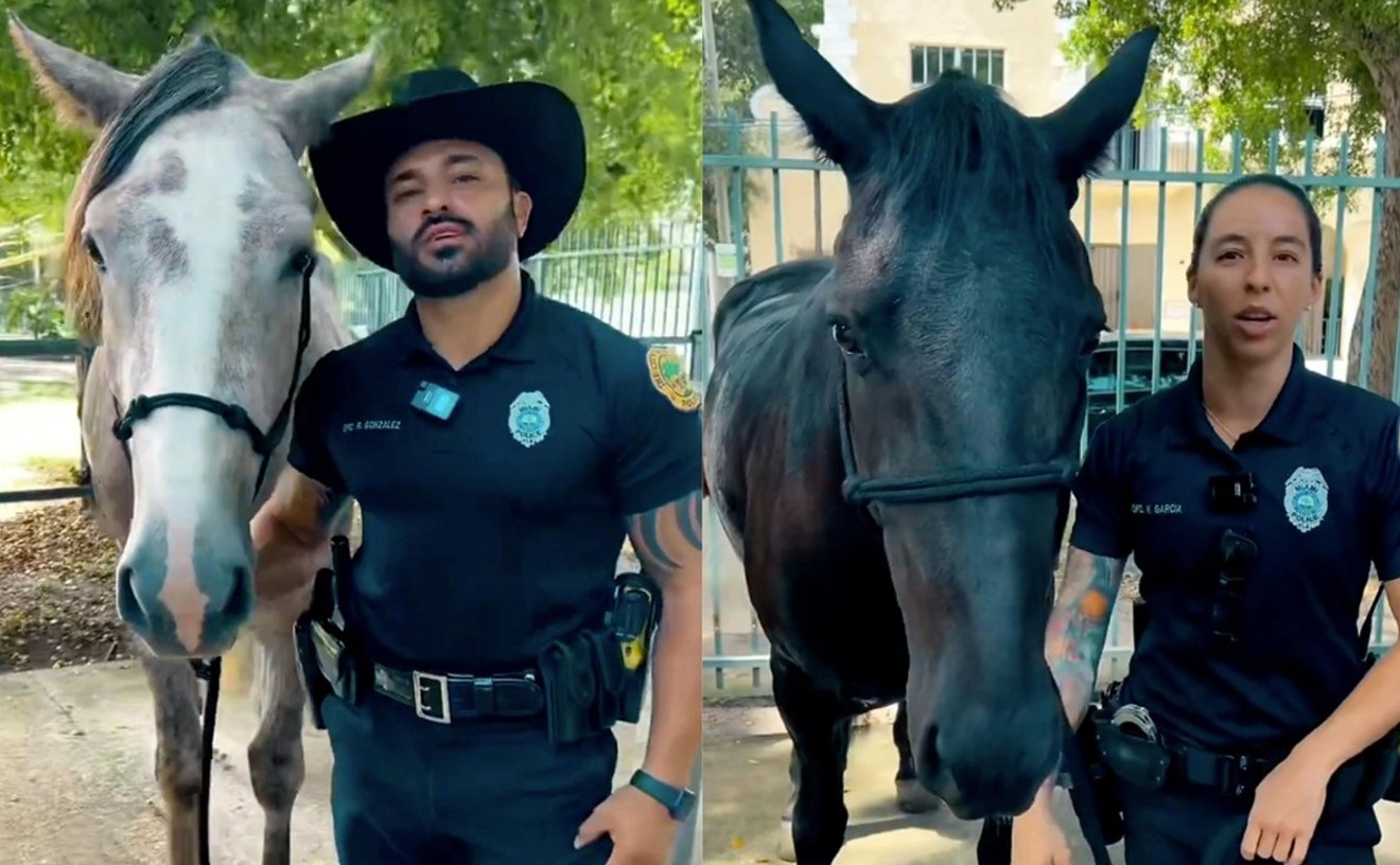 "Colada and Cortadito": Miamians Suggest Names for Two Police Horses