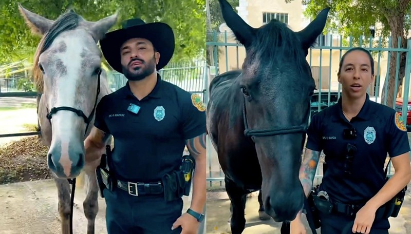 These two Miami police horses need names.