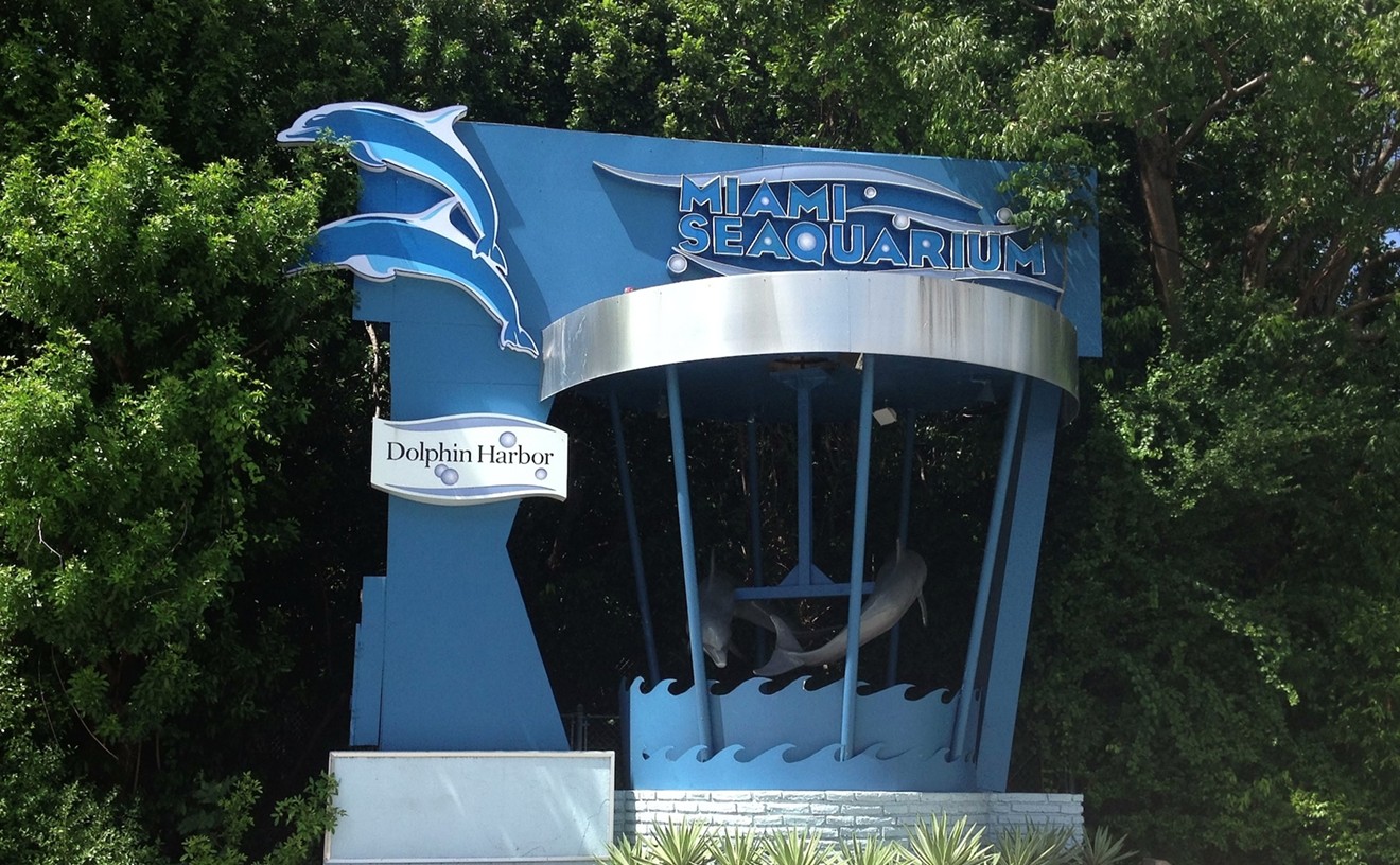 Drowning in Neglect, Miami Seaquarium Is City's Saddest Attraction
