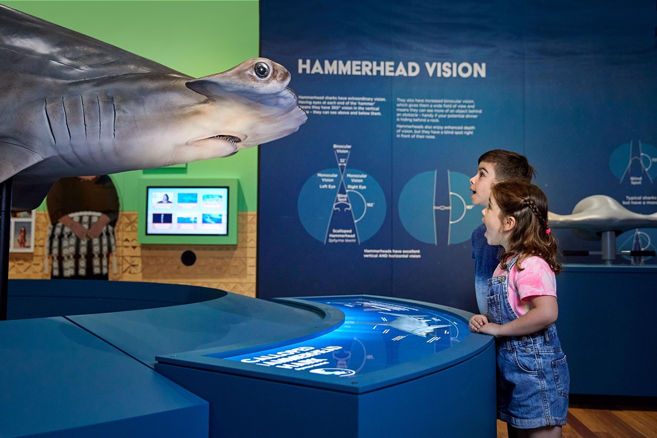 The lifelike models at Frost Science Museum's "Sharks" are incredibly detailed.