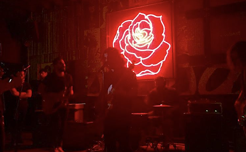 Image: Gritty Miami Dive Bar Las Rosas is Reopening This Weekend