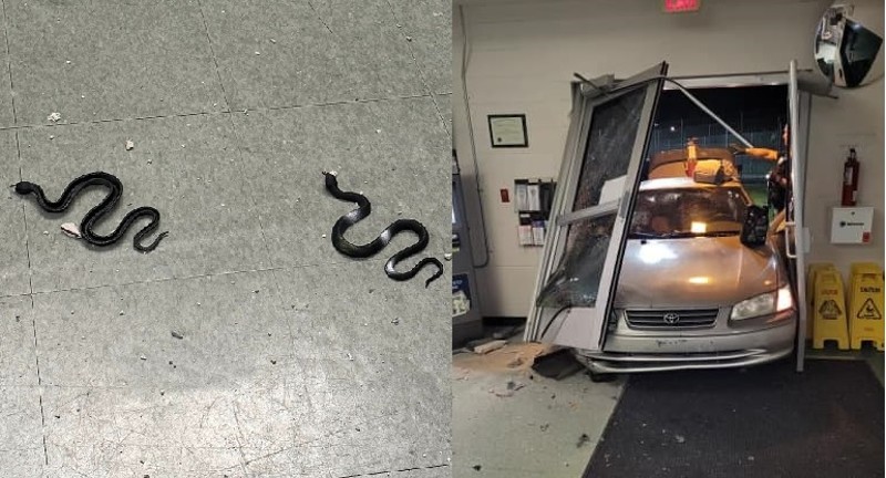 The Martin County Jail lobby was left in shambles and spotted with rubber snakes after a man drove his vehicle through the glass entrance.