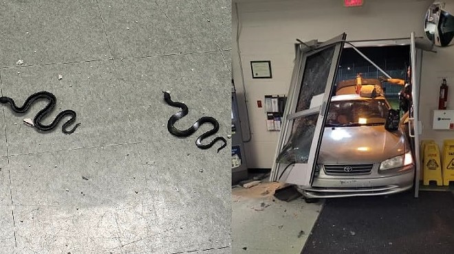 Split photo of a South Florida jail lobby entrance destroyed by the front-end of an old Toyota, and a photo of rubber snakes that the alleged perpetrator left behind