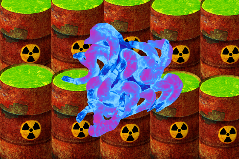 Image: A photoshopped image of neon shrimp and radioactive bins