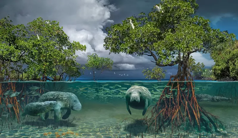 Image: Dine with (virtual) manatees at Hidden Worlds.