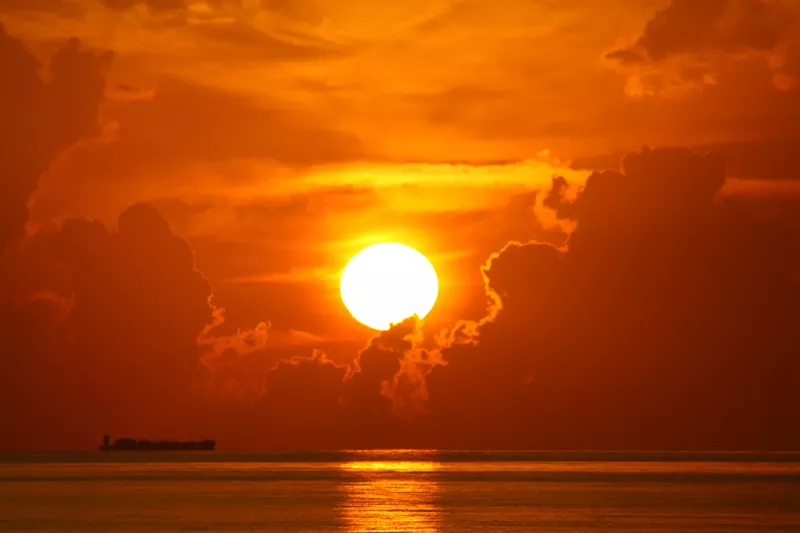 Image: Sea surface temperatures in the Florida Keys reached 101 degrees in the last week of July — hotter than the air outside.