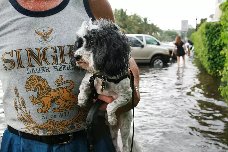 Image: A man carries his dog on a flooded sidewalk in Miami Beach after a storm left 8-9 inches of water in June 2009