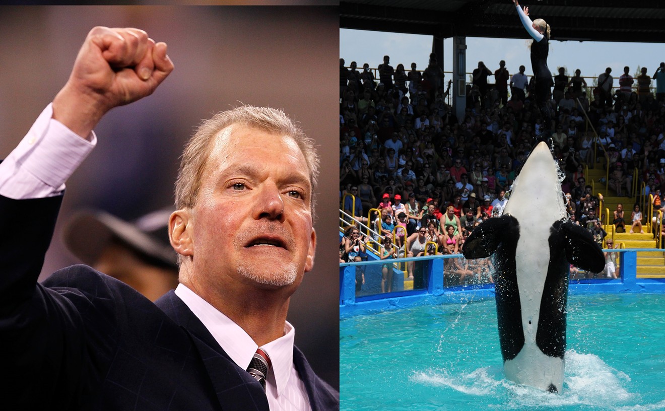 Indianapolis Colts Owner Jim Irsay Ponies Up to Free Lolita the Orca From Miami Seaquarium (UPDATED)