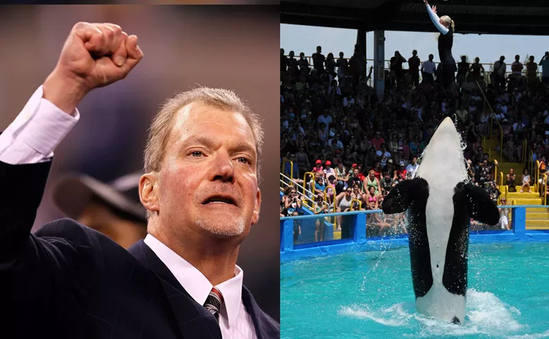Image: Indianapolis Colts Owner Jim Irsay Ponies Up to Free Lolita the Orca From Miami Seaquarium (UPDATED)