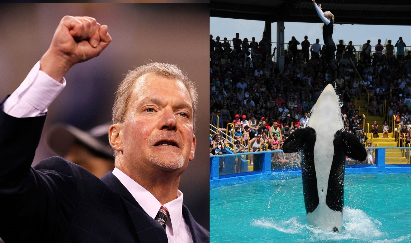 Jim Irsay, billionaire owner of the Indianapolis Colts, is helping with the effort to release Lolita, AKA Toki, a killer whale that has been in captivity since she was a calf.