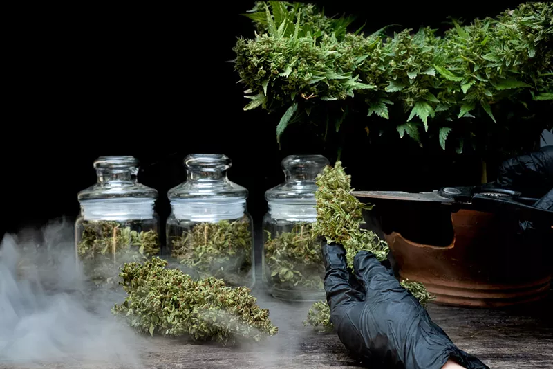 Image: Hands busy trimming cannabis, with jars of marijuana in the background