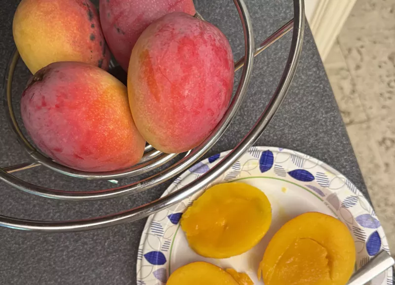 Image: It's Miami mango currency season, baby.