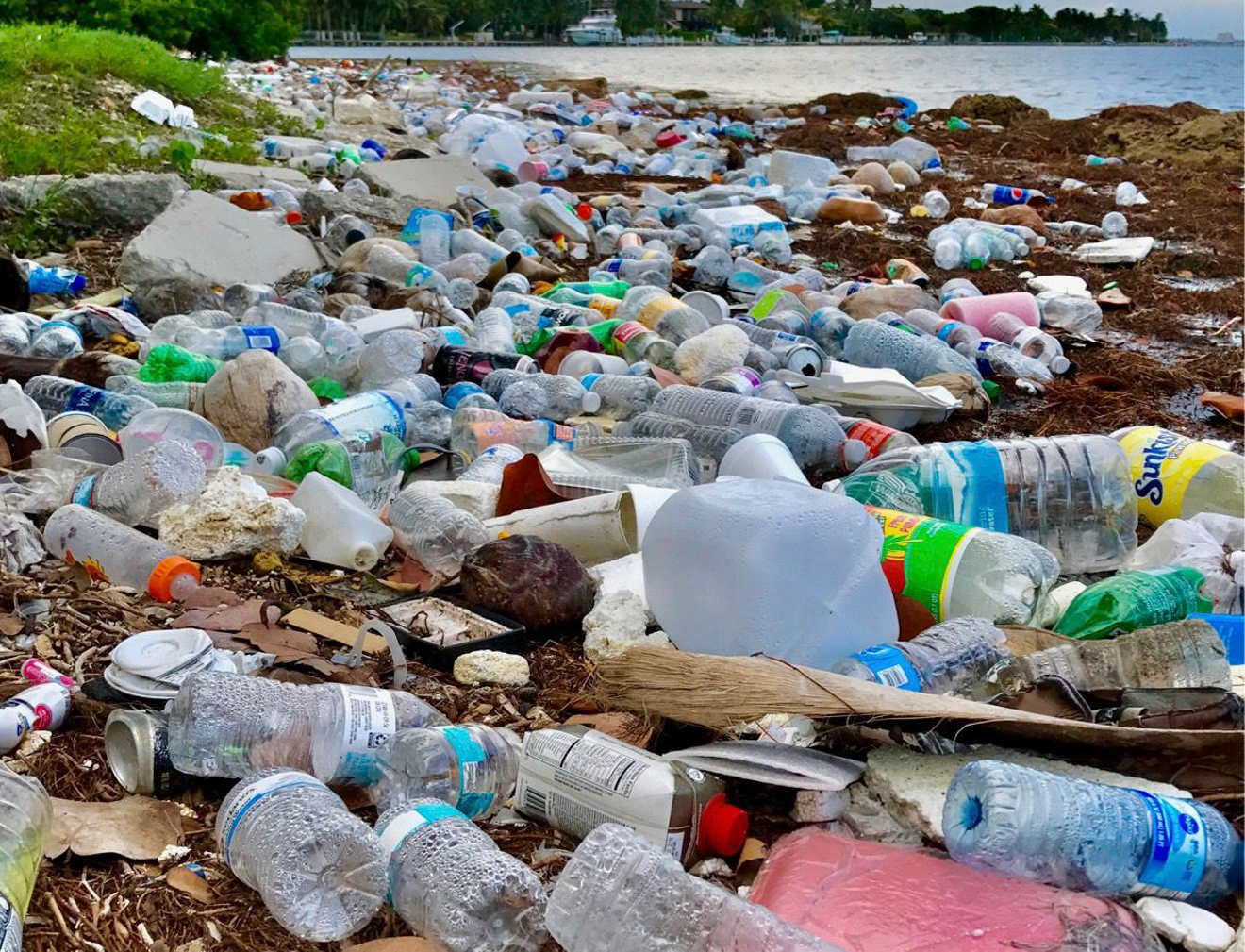 You might just as well call this an artist's conception of Miamians' recycling practices.