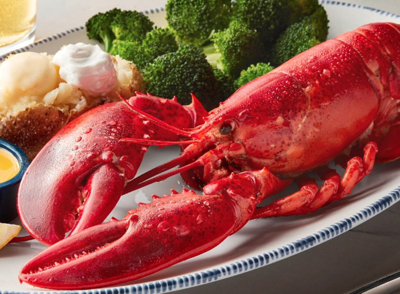 Red Lobster announced it has closed dozens of its seafood restaurants and filed for Chapter 11 bankruptcy in Florida.