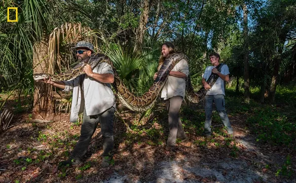 Image: Florida’s Six Biggest Python Captures