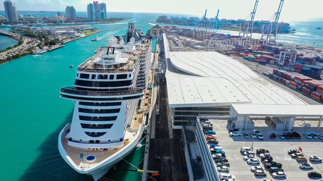 god's-eye view of a cruise ship at port