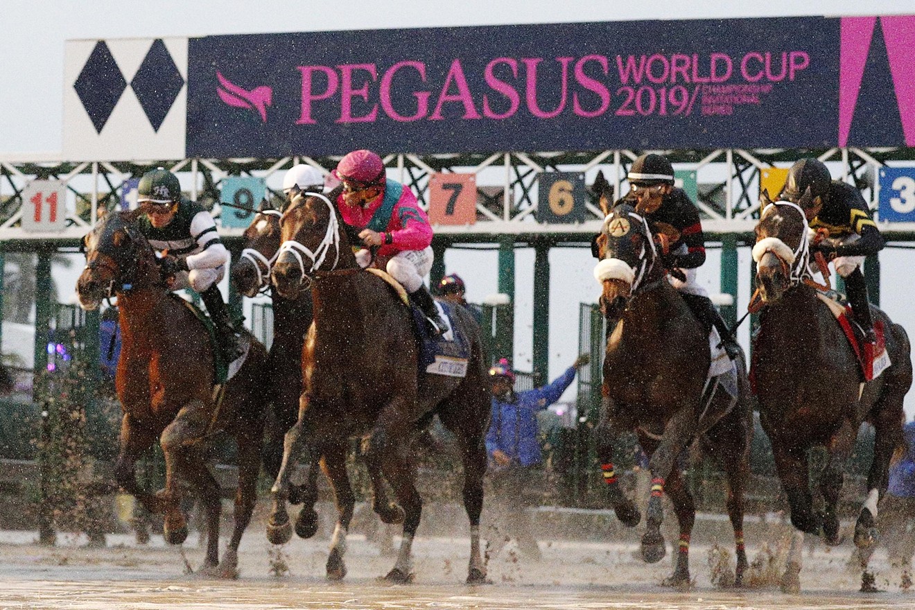 It's easy to forget that the Pegasus World Cup is about horse racing.