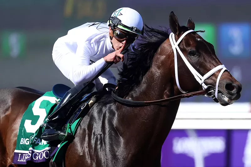 Image: If Irad Ortiz Jr. thought he could keep Life Is Good's runaway November 6 win in the Breeders' Cup Dirt Mile a secret, he was wrong.