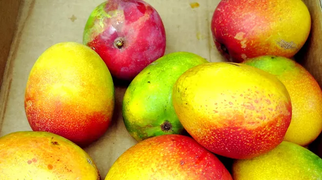 Several mangos sit in a pile.