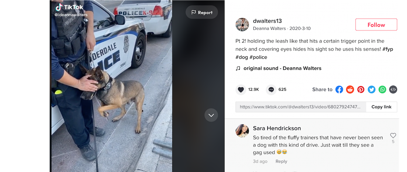 A K-9 training expert sets the record straight about a maneuver that has alarmed viewers on TikTok.
