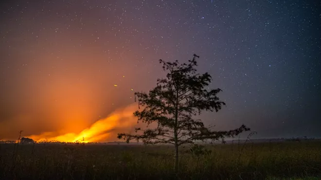 dramatic nighttime photo of a fire in the Everglades, showing stars, flames, and a tall tree in the middle ground
