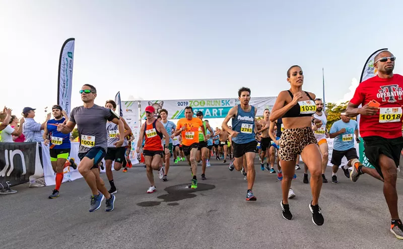 Image: The 12 Best Things to Do in MiamI This Weekend