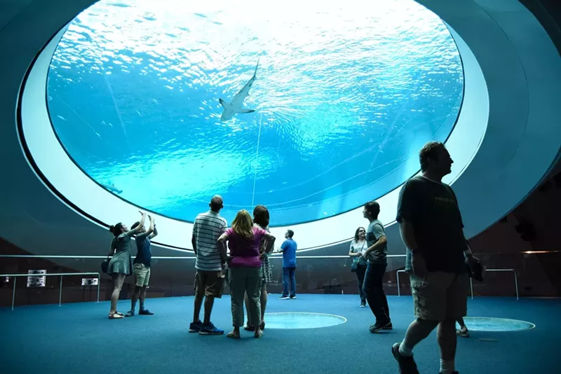 Image: Frost Science Museum