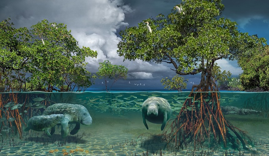 Dine with (virtual) manatees at Hidden Worlds. - PHOTO COURTESY OF HIDDEN WORLDS ENTERTAINMENT, INC.
