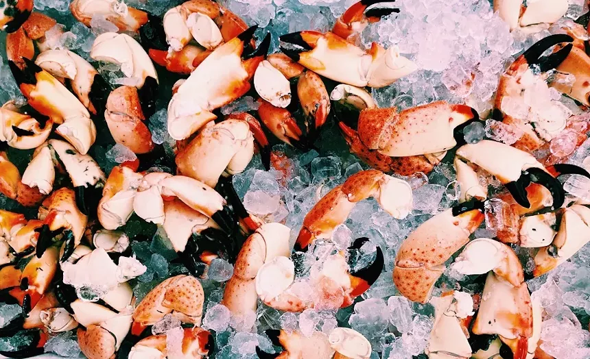Where to Get the Best Stone Crabs in Miami 2022 Miami New Times