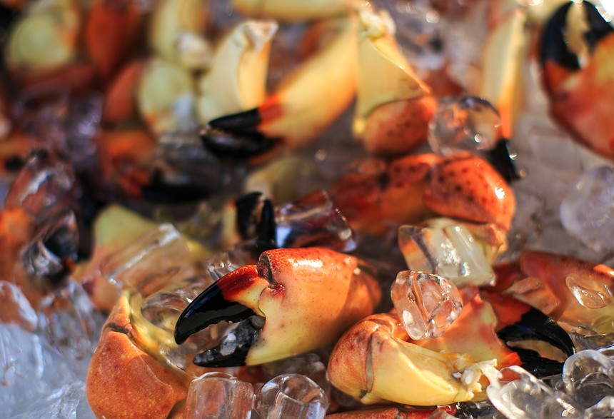 Stone crab clwas