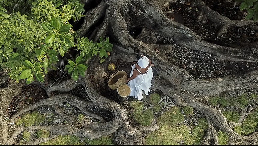 Image of a woman in white at the base of a tree