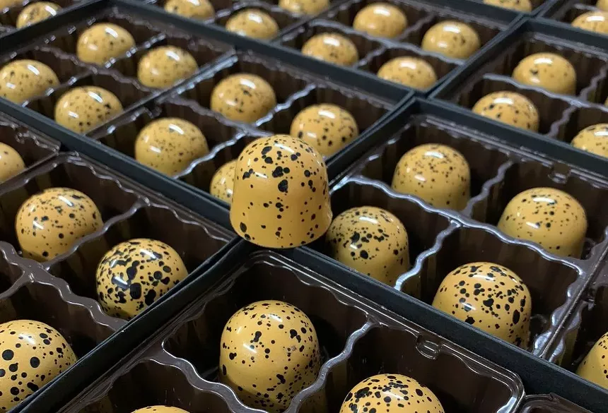 chocolate bonbons