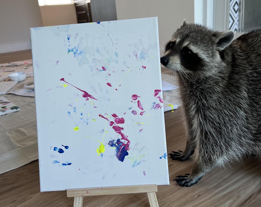 A raccoon standing next to a painting