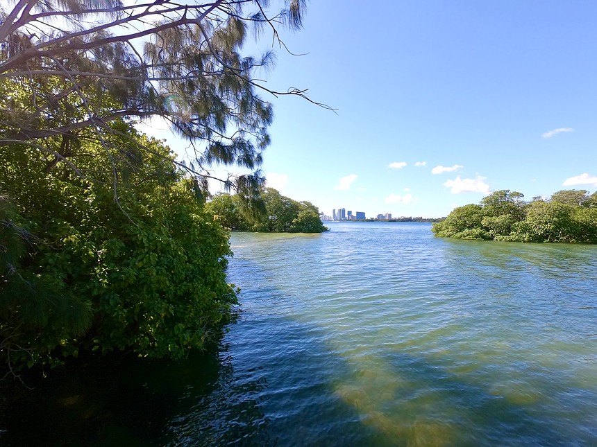 A mangrove-lined island in Biscayne Bay near Miami, with blue skies in the backdrop