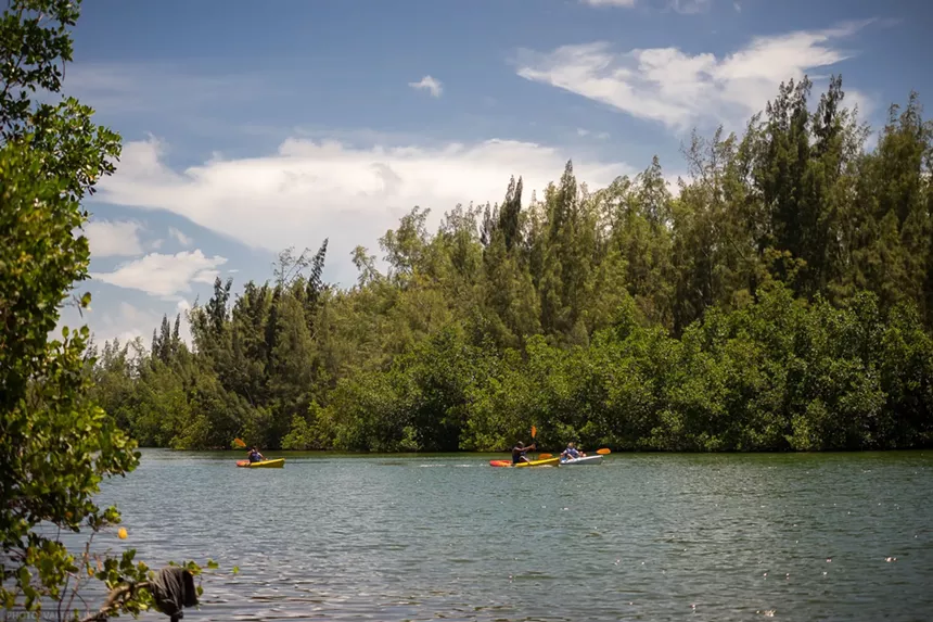 People kayaking at Oleta River State Park in Miami
