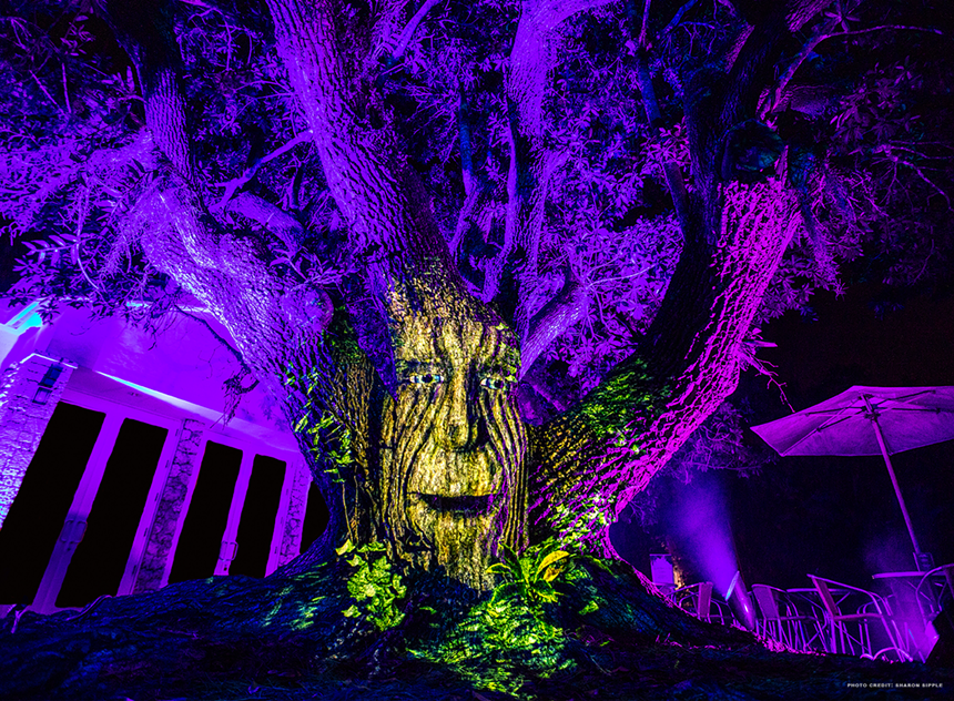 A face projected on a tree at Fairchild Tropical Botanic Garden in Coral Gables