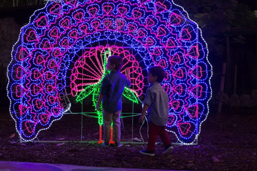 Holiday lights at Pinecrest Gardens