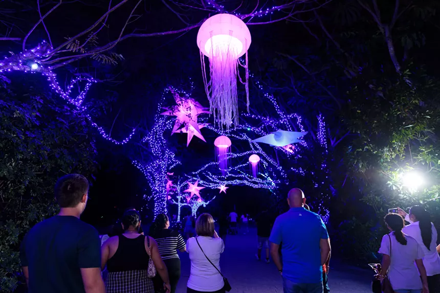 A light in the shape of a jellyfish at Zoo Miami