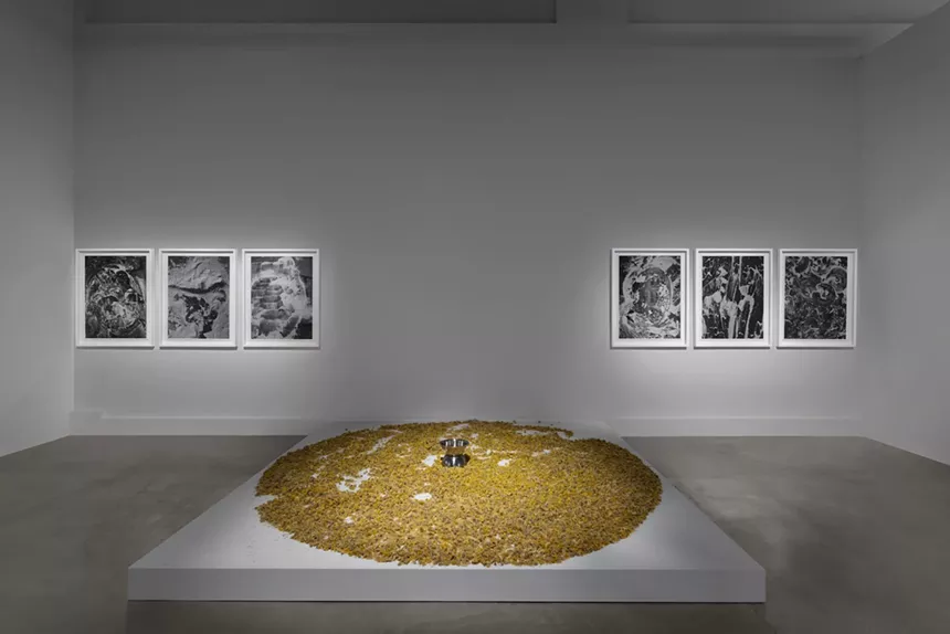 Installation view of "Smita Sen: Embodied" at the Museum of Contemporary Art, North Miami