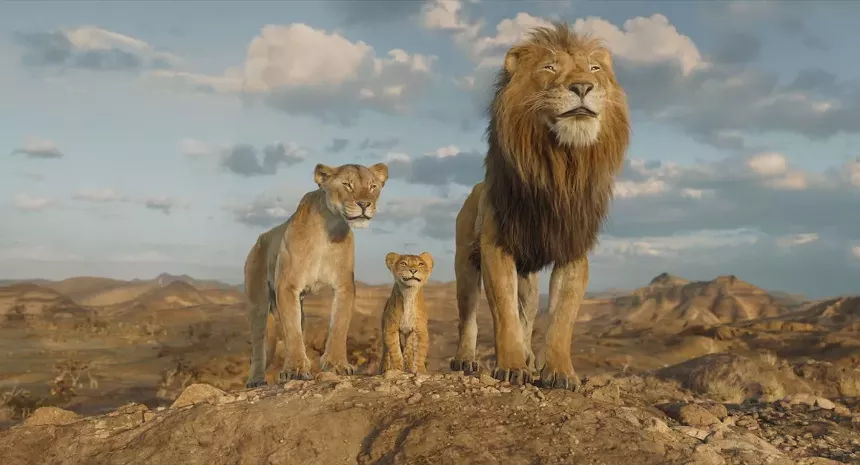 Still of three lions in Mufasa: The Lion King