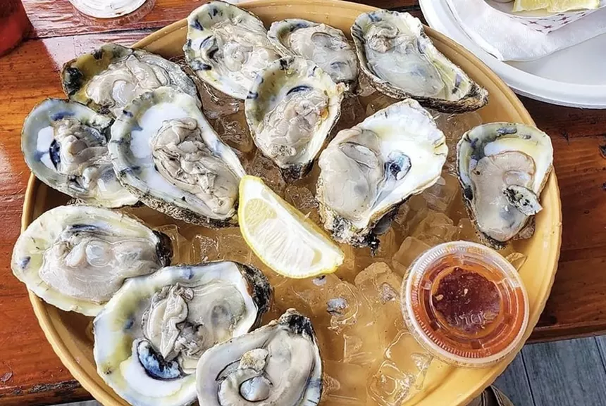 oysters