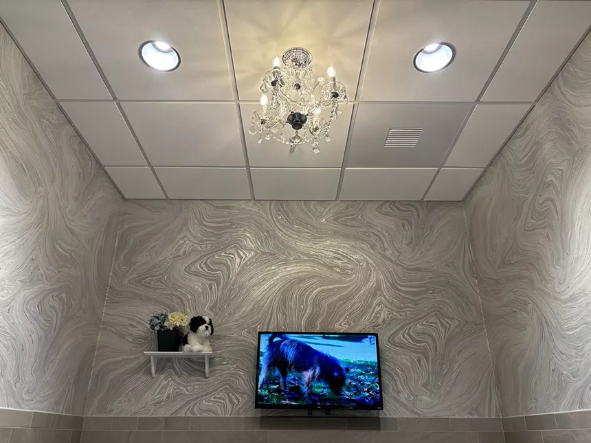 view of a room with a TV, chandelier, and a shelf with a flower arrangement and stuffed animal