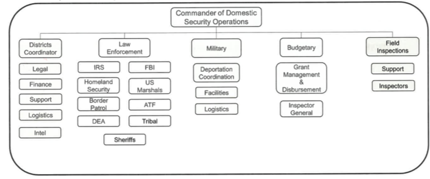 a flow chart showing a "commander of domestic security operations" that oversees "district coordinators," "law enforcement," "military," "budgetary" and "field inspections"