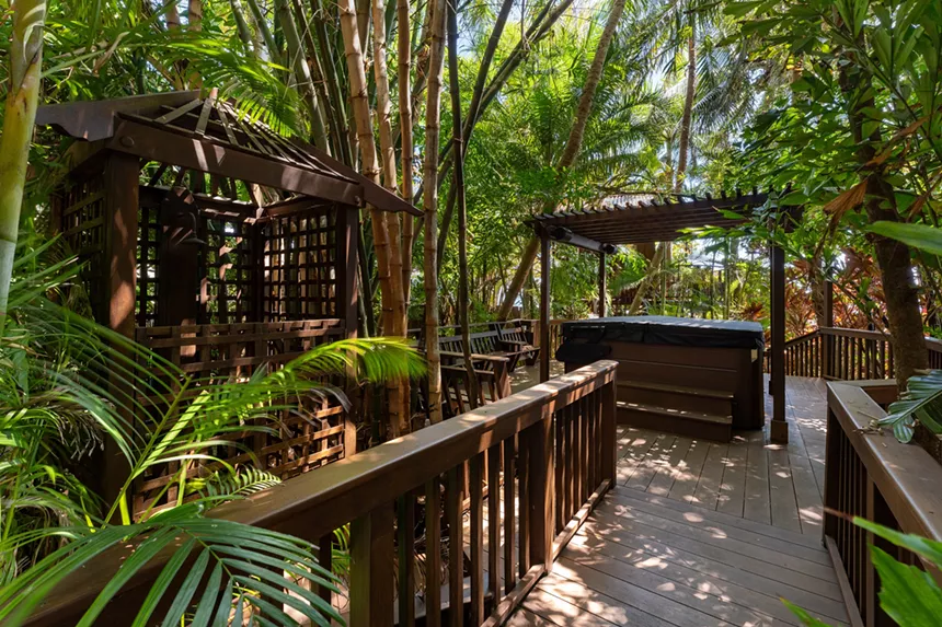 The hot tub under the tree canopy